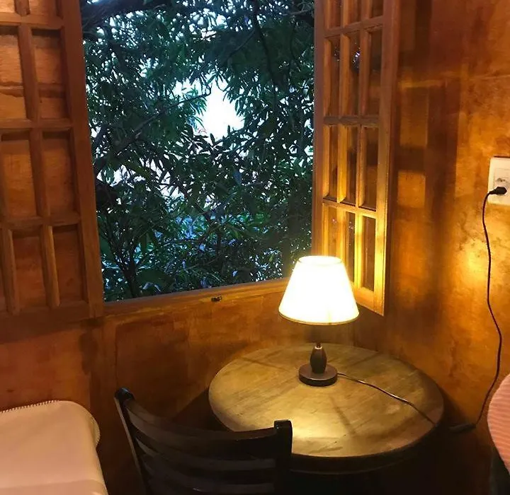 Casa na Árvore-1
