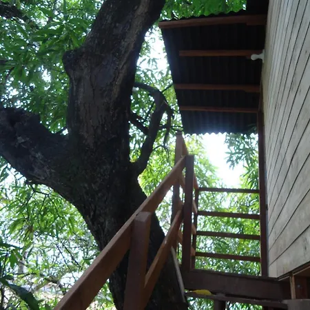 Casa na Árvore-2