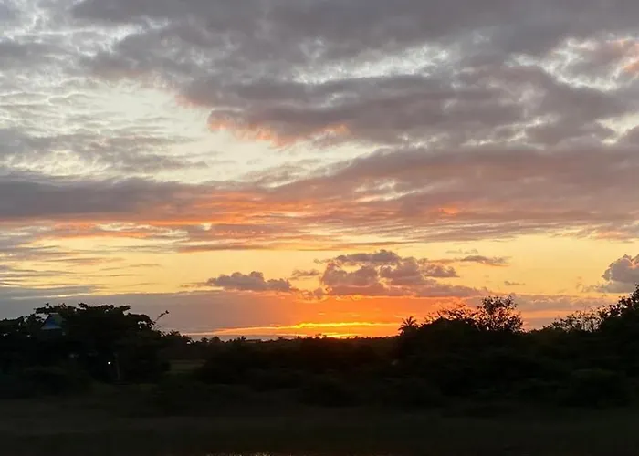 Suite Beija-Flor